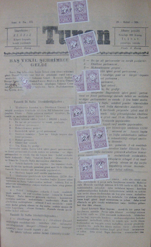 81