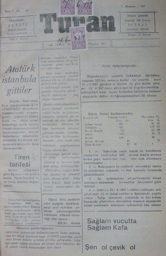 81