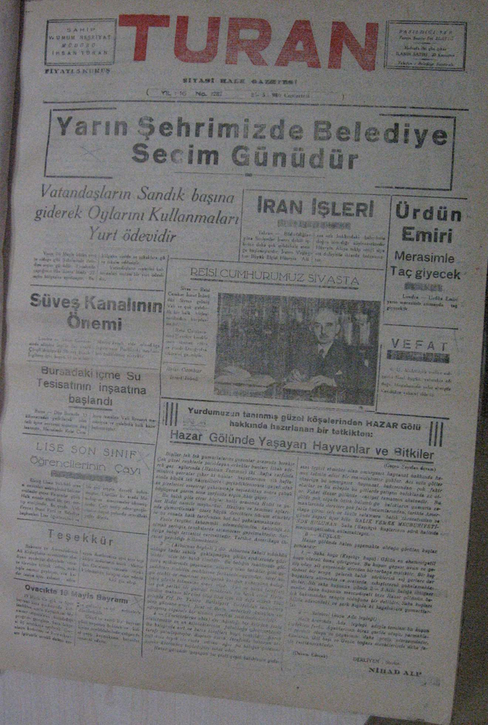 81